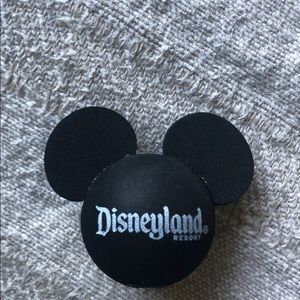 Disneyland car radio antenna cover